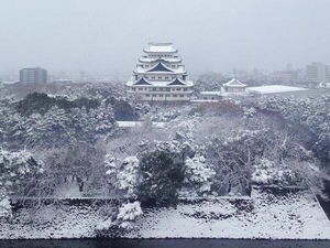 名古屋が雪まみれ！！