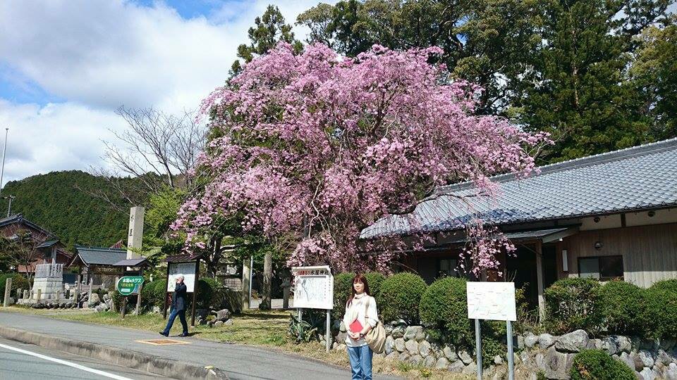 水屋神社の桜満開