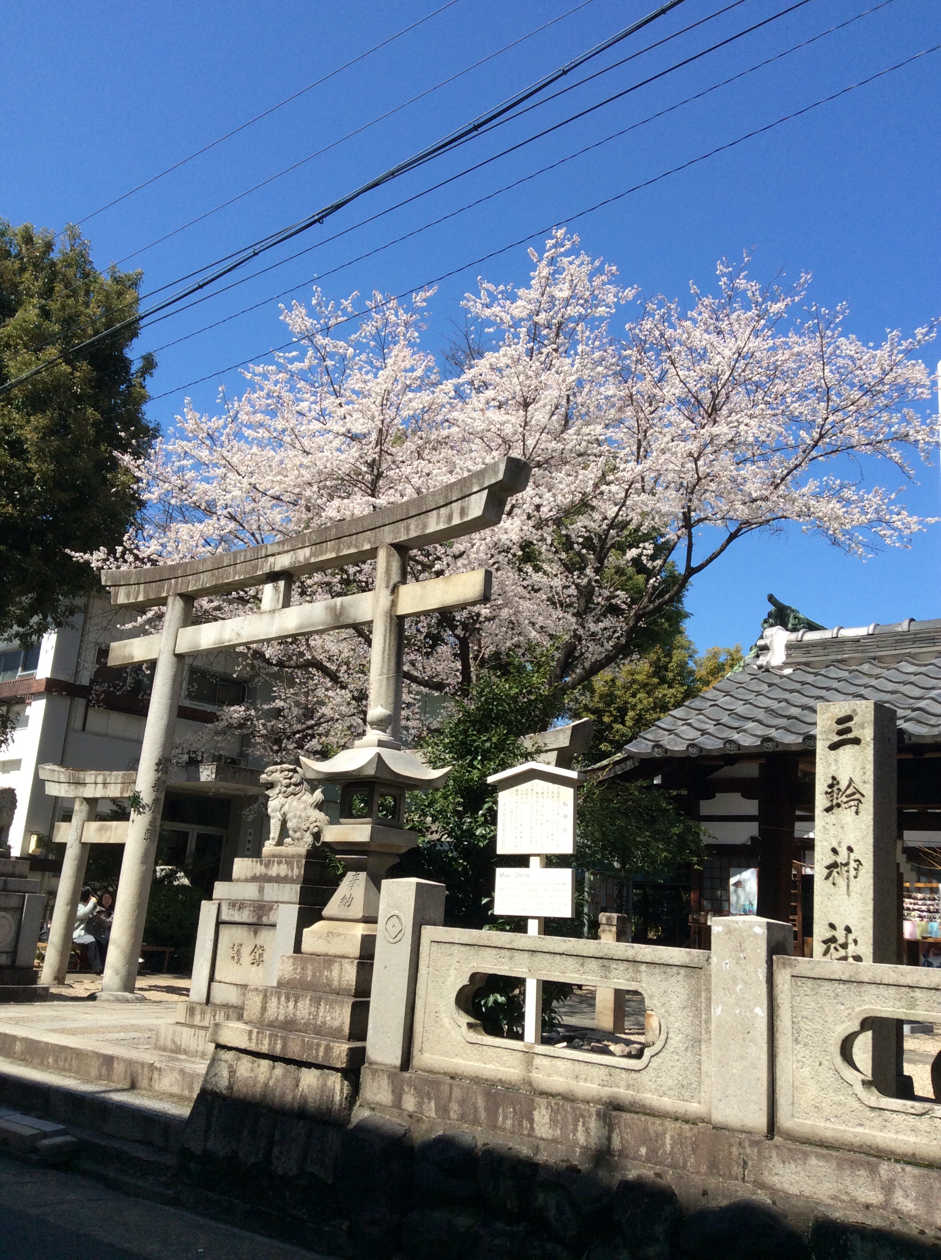 三輪神社の春