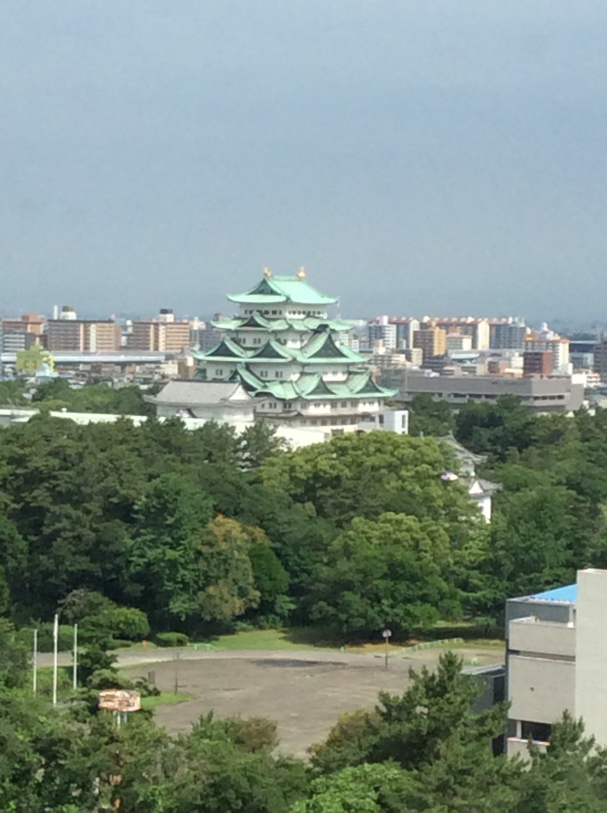 名古屋城を眺めながら