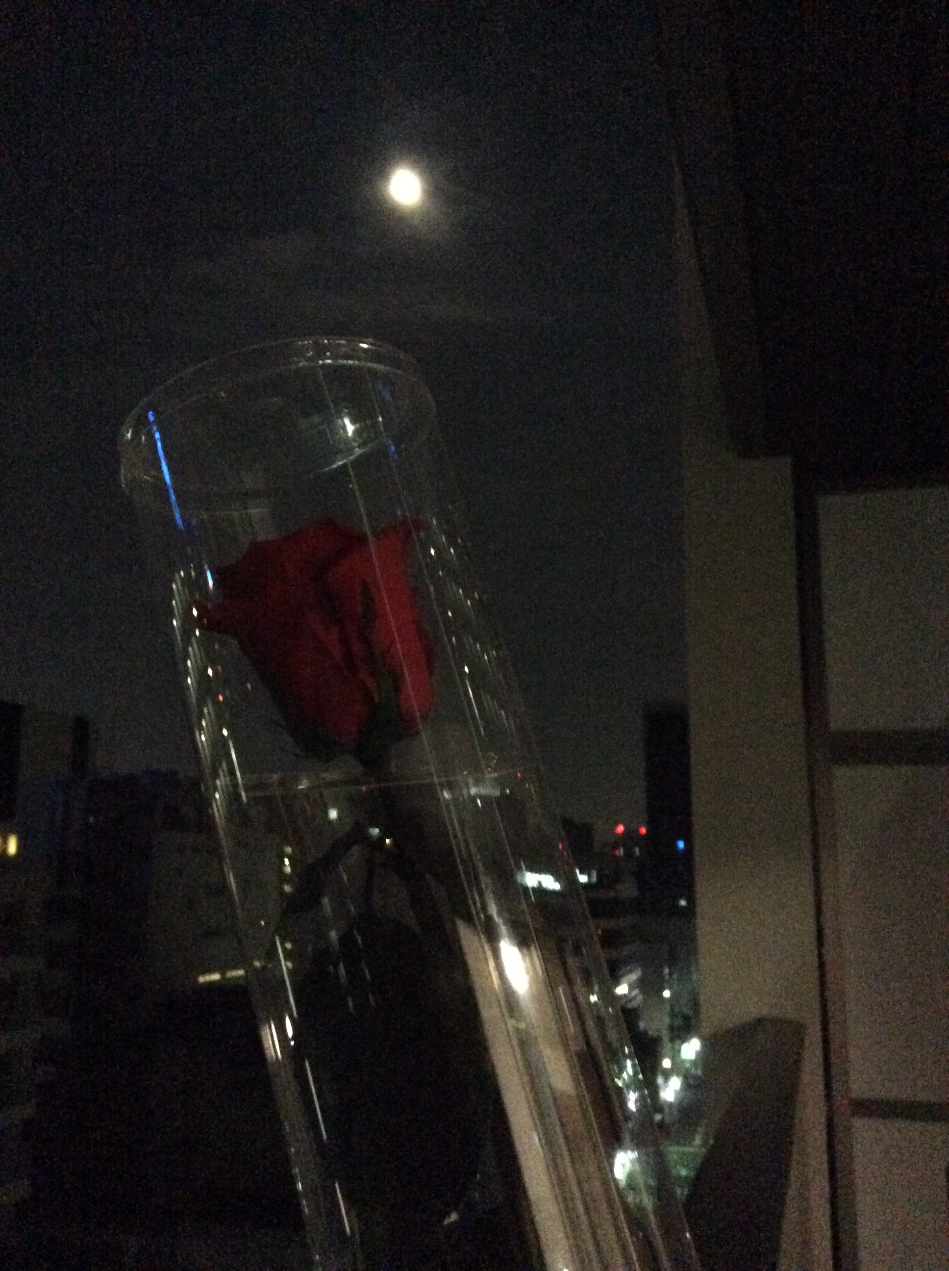 バラと月