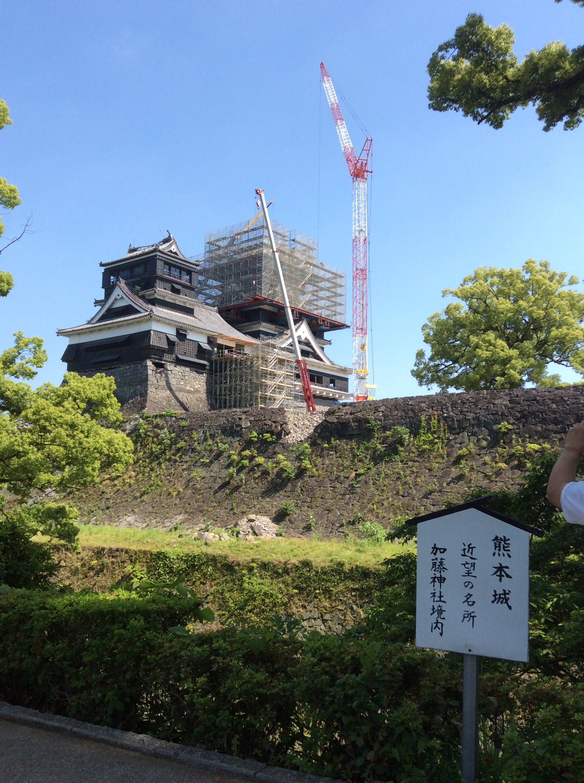 熊本城復興の兆し