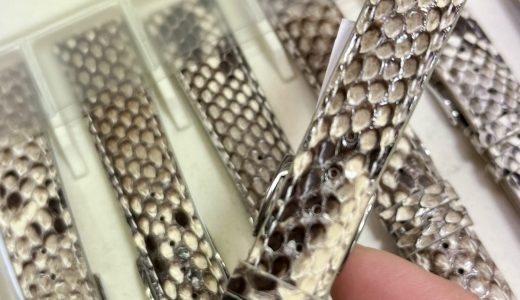 🐍巳年だけに〜パイソン革ベルト